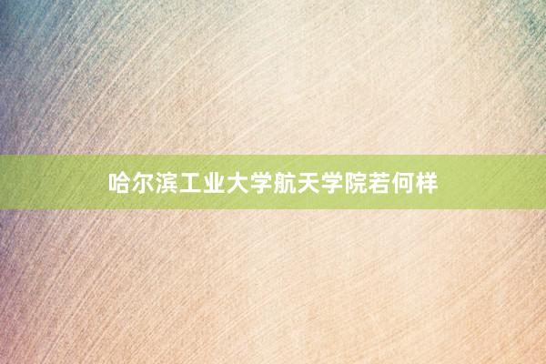 哈尔滨工业大学航天学院若何样