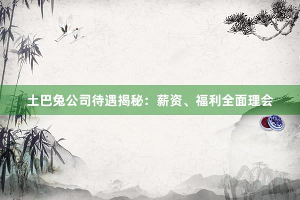 土巴兔公司待遇揭秘：薪资、福利全面理会
